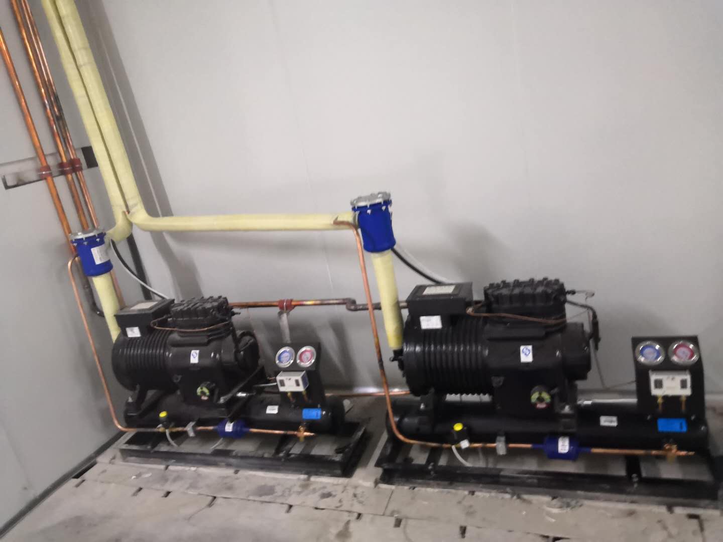 ���C(j��)�M������x