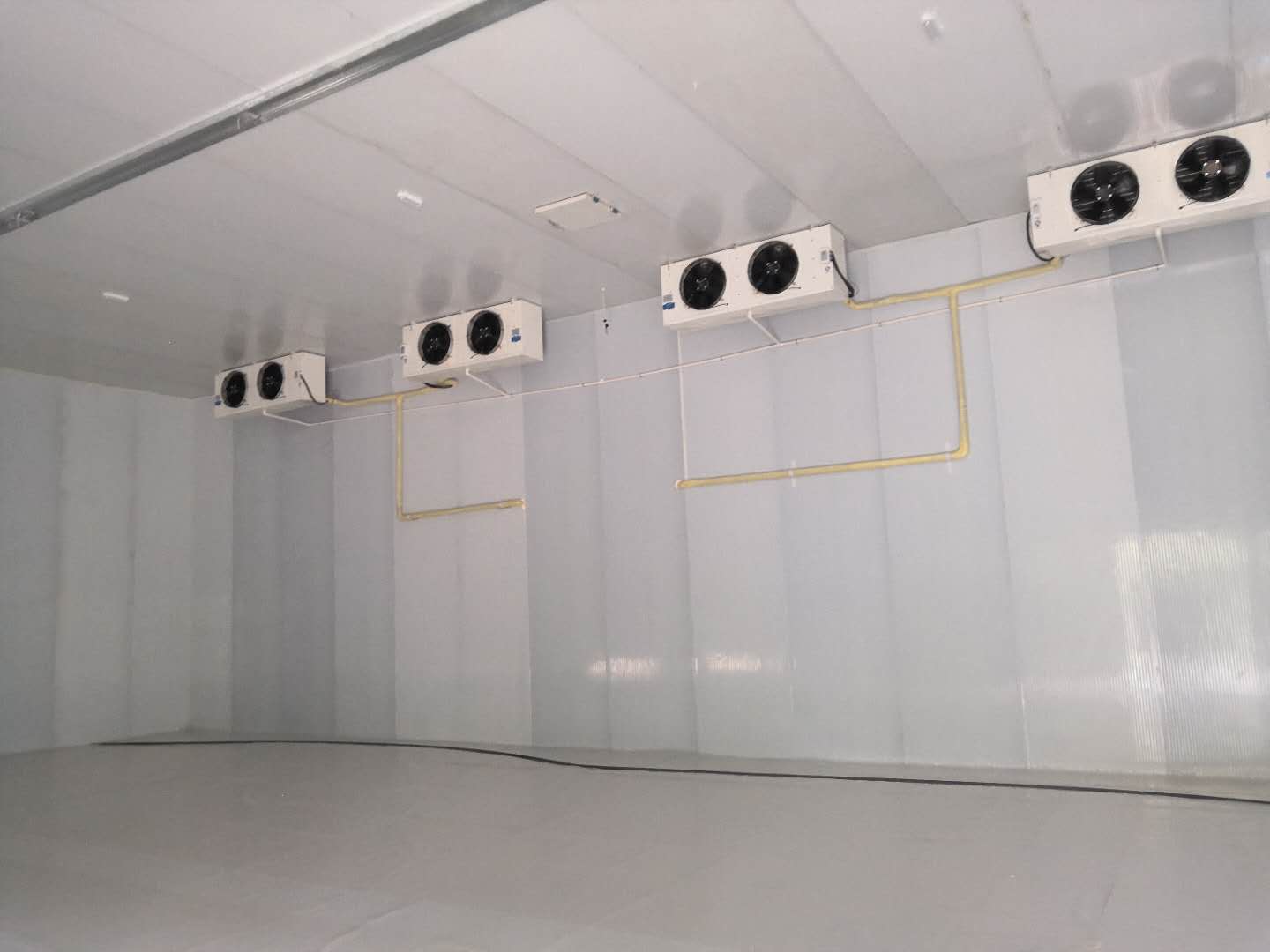 ξ�ϱ��r���