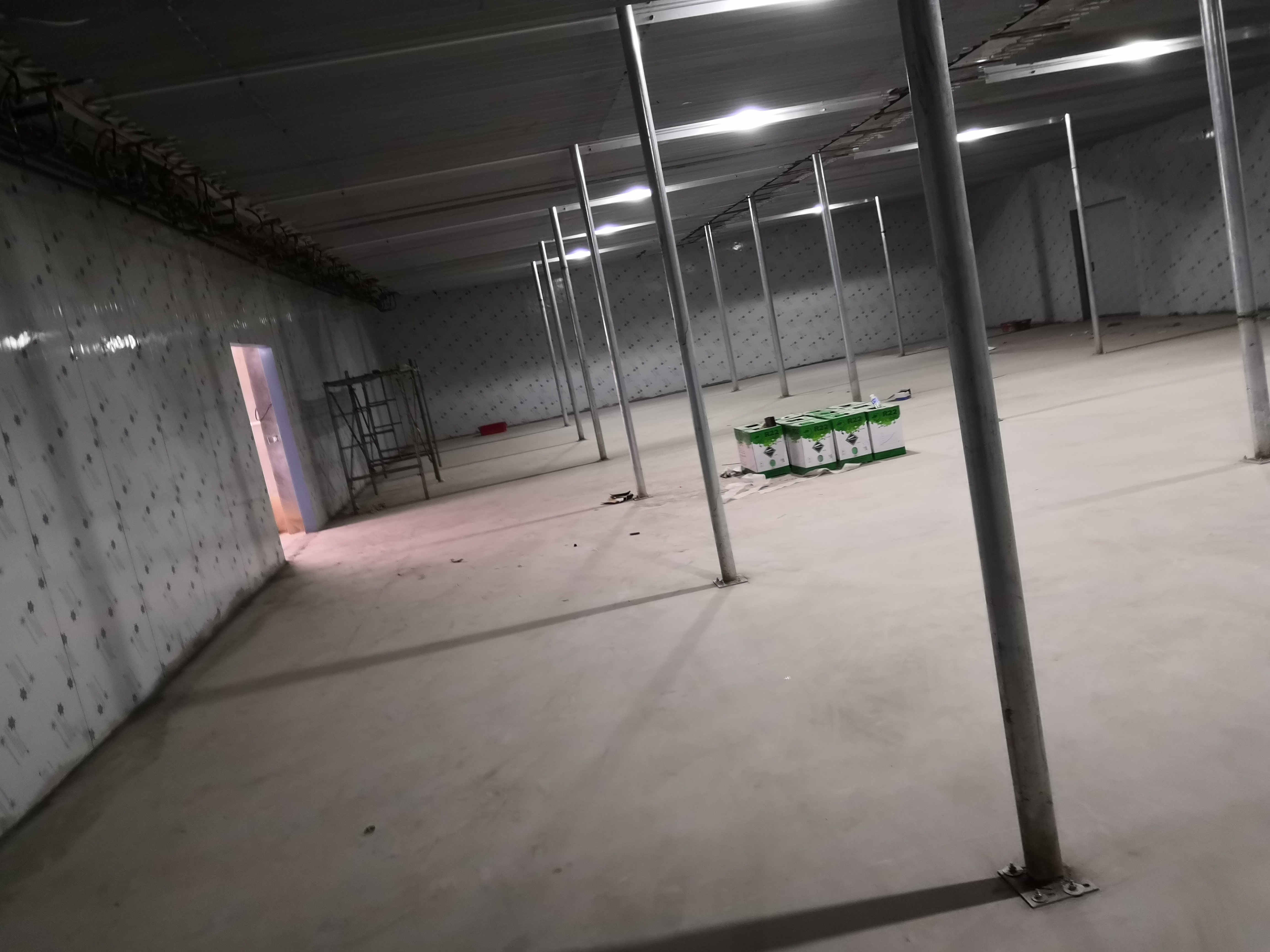 �X��������