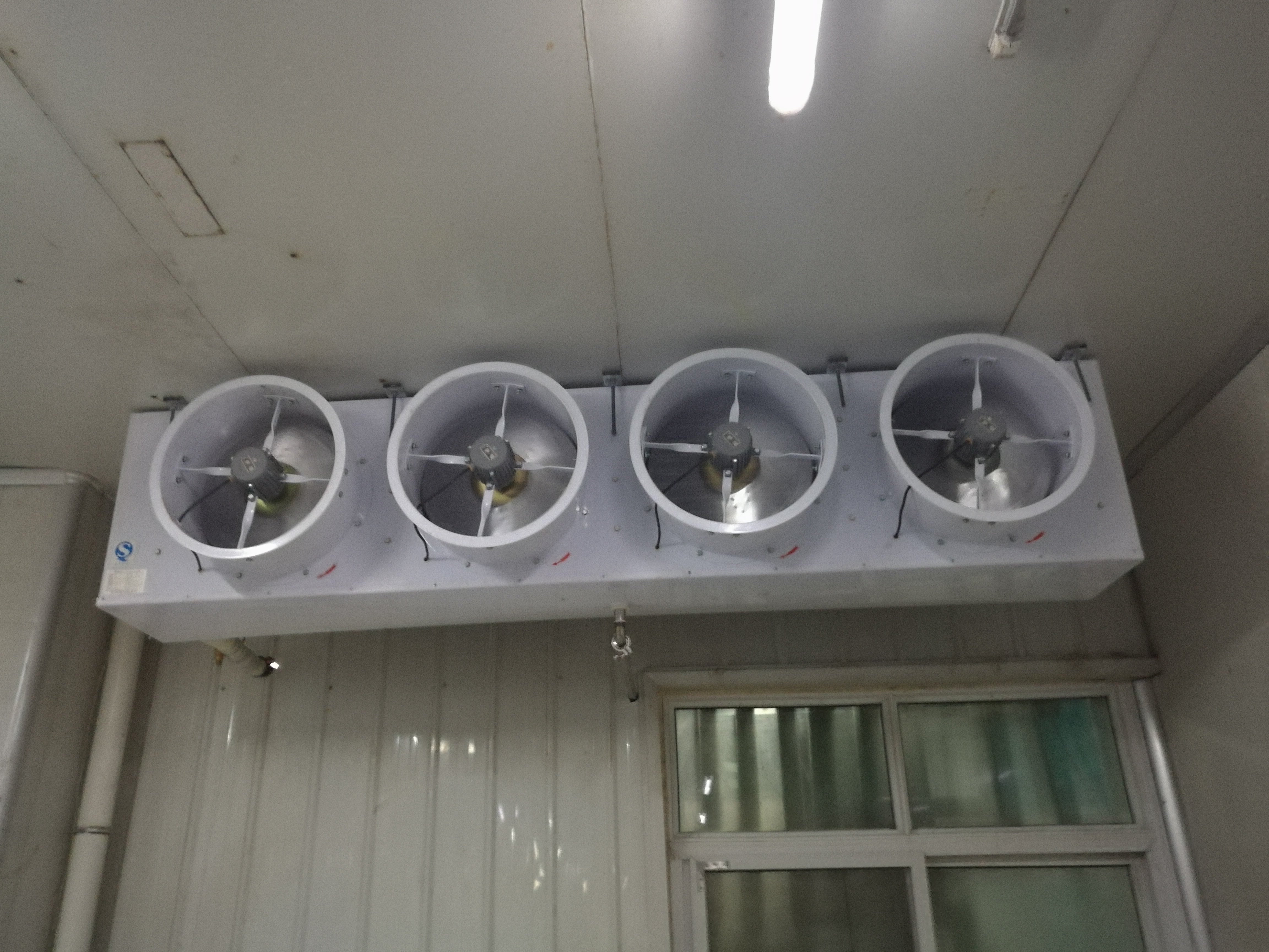 �_���@܇�g�����Ŀ