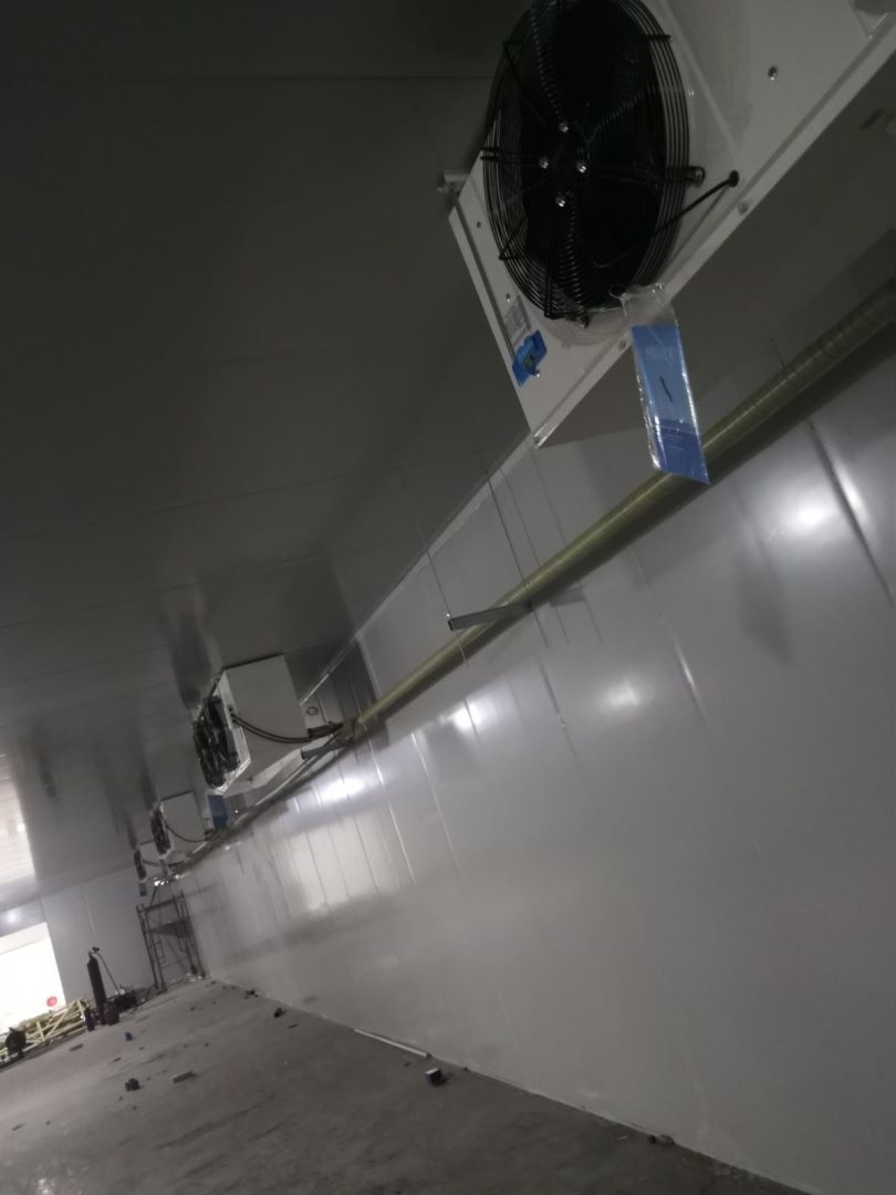 �_��܇�g���ر��r���