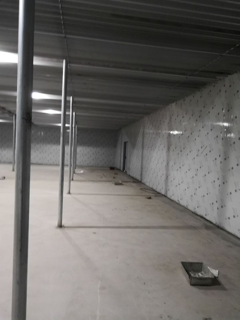 �X��������