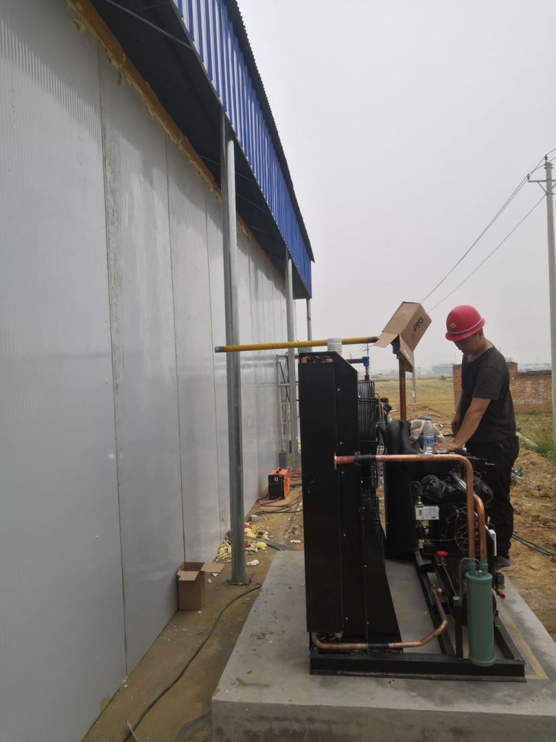 �������r��� 20ƥ�L������C�M