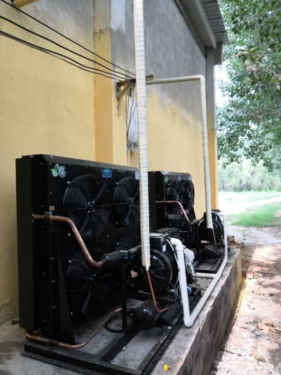 ��ꖹ�݆20ƥ����ʽ�L(f��ng)��C(j��)�M