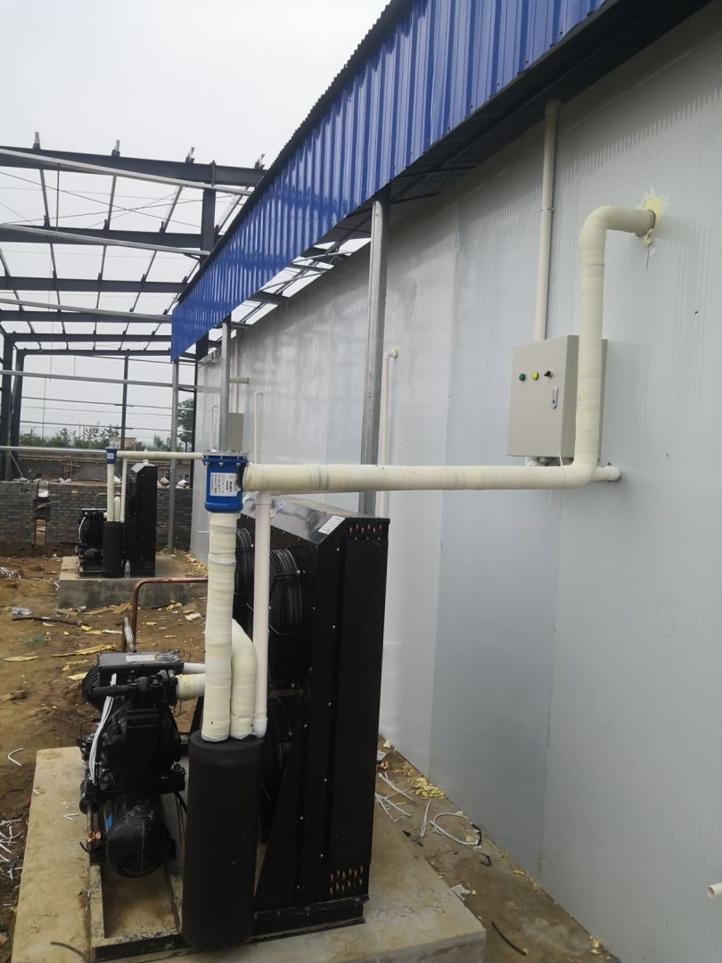 ��ꖹ�݆20ƥ����ʽ�L(f��ng)��C�M