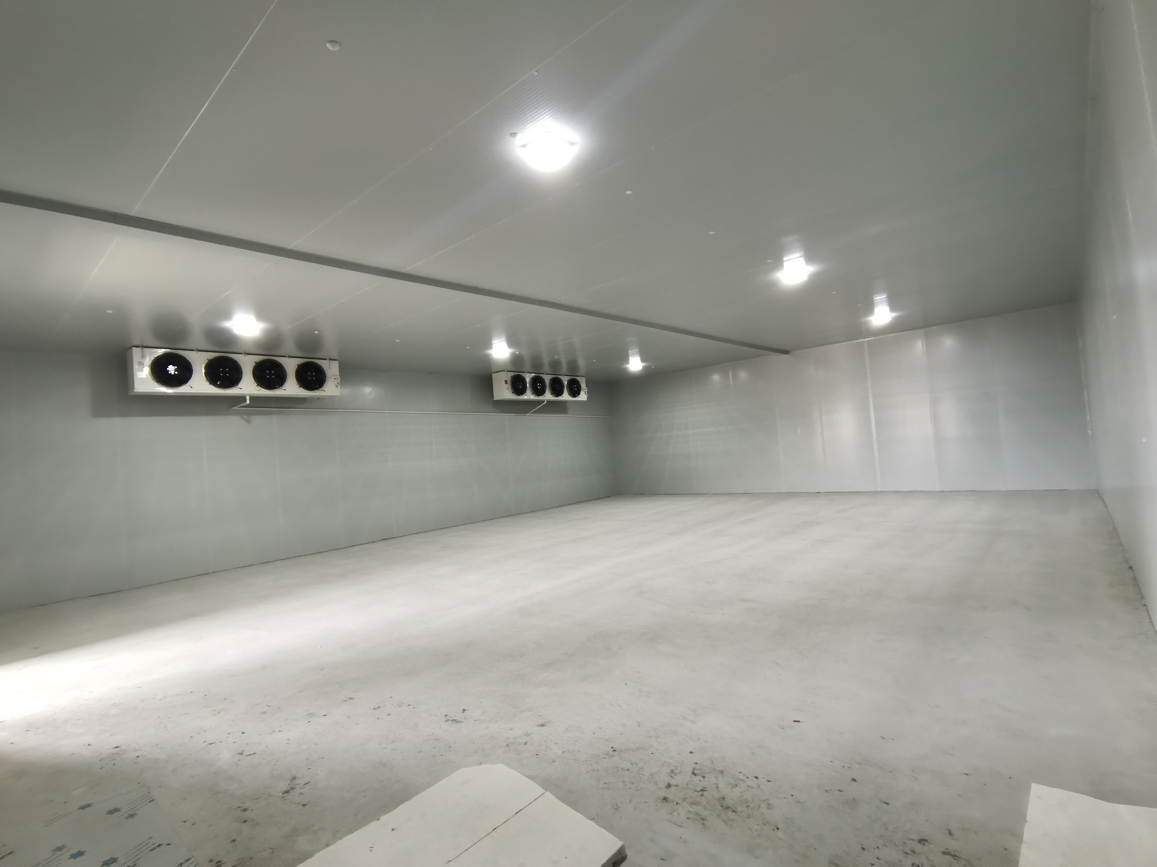 15cm�۰������r���