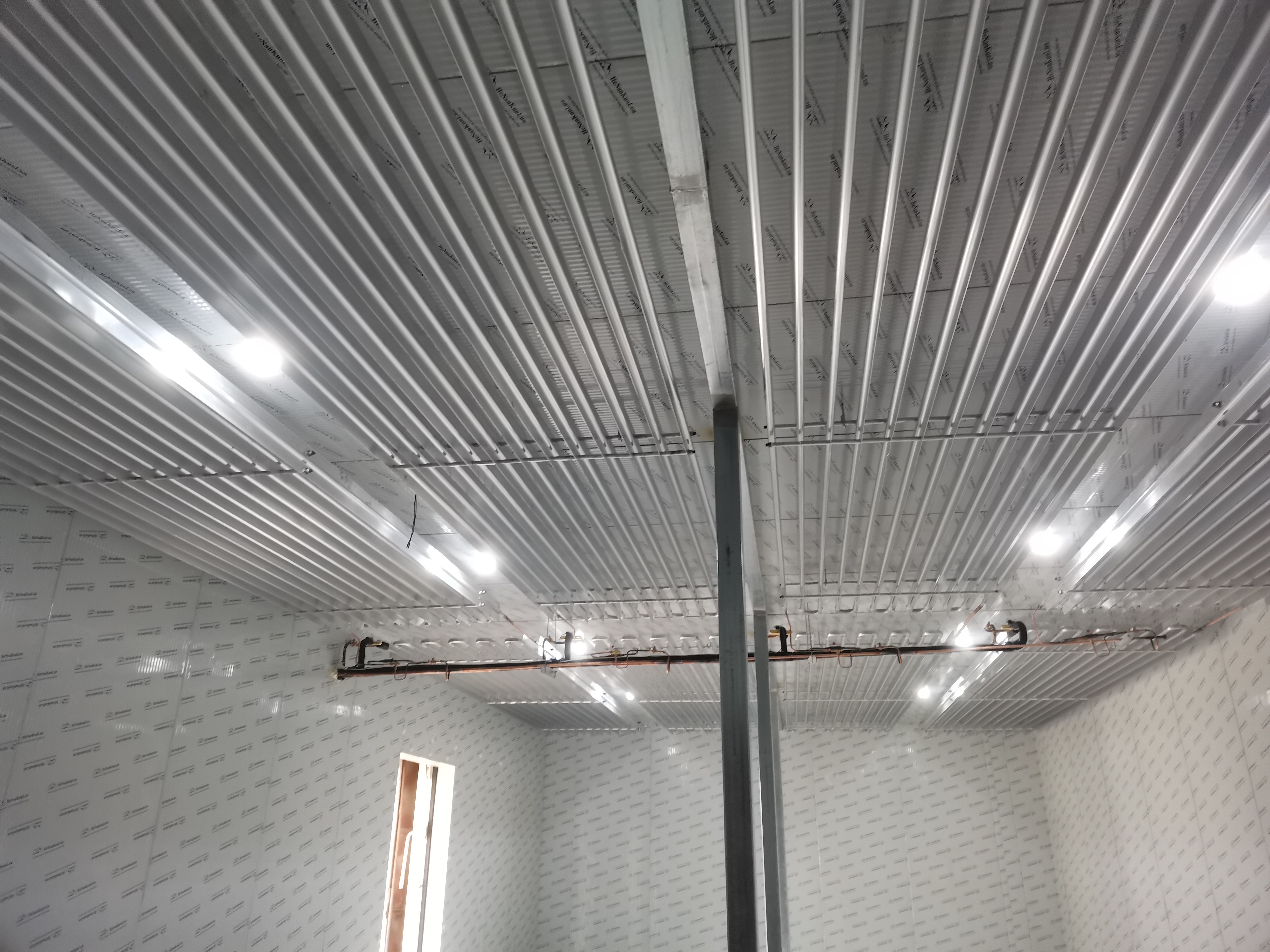 15cm�۰����X��������